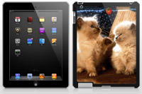 Coque pour iPad 2 Chatons