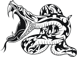 Calçon Serpent Pithon