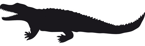 Sticker  Crocodile