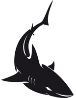 Sticker  Requin